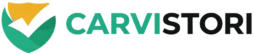 carvistori.com